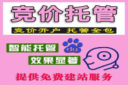 探索SEM优化托管的成功案例与策略